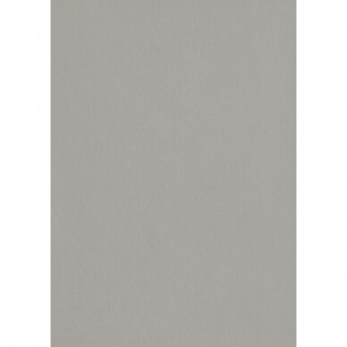 F765 ST20 - Brushed Silvergrey