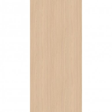 H1204 TM22 - Light Natural Lugano Ash 1