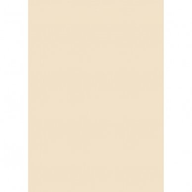 U115 ST9 - Carat Beige