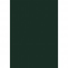 U699 ST9 - Fir Green